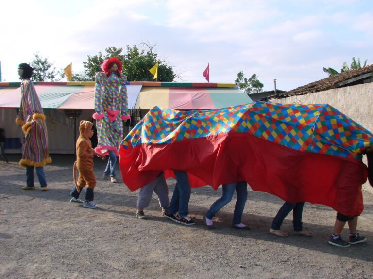 boi de mamao1 768x576